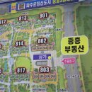 더운정부동산공인중개사사무소 이미지