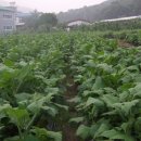 장현농장 이미지