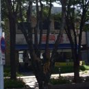 청정굴국밥 이미지