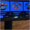 신마포갈매기 이미지