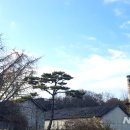 한국전통곰탕 이미지