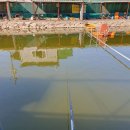 무태낚시터 이미지