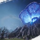 인디카 마스터 이미지