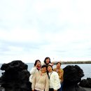 카니발 | 제주도 카니발 대여 후기, 기사포함 제주 9인승 카니발 렌트카 여행