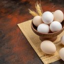 신용농장 이미지