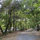 은사시 캠핑장 이미지