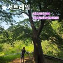 소월리 마을회관 앞 | 동서트레일.. 흥주사~성2리마을회관 (4구간~5구간)