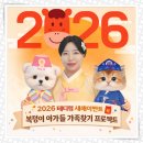 대구고양이분양 테디럽 | 경산고양이분양 야옹이 많은 테디럽