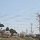 소리천로 이미지