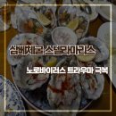 마리스 | 스텔라마리스 굴 후기 삼배체굴 노로바이러스 트라우마 극복까지