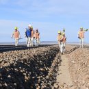 주식회사 주운 이미지