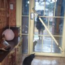 삼복한정식 | [강화한정식맛집] 황금수라를 다녀온 후기
