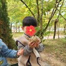 공립 사랑숲어린이집 이미지
