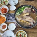 시골집닭한마리