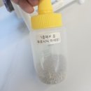 한국양봉농협 | 전남 순천 데이트 카페 세허니 SeHoney 양봉상점&카페 후기
