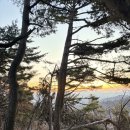 청계산 공영주차장 | 겨울 등산 준비물 청계산 등산코스 주차장 난이도 일출등산