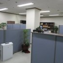 둔산북로 이미지