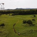 오케이승마장 이미지