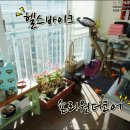써니의베란다이야기