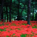 노은동로4 이미지