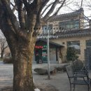 삼정메밀소바 이미지