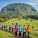 신기초교 | 초등학교 수학여행 준비, 6개월 전 항공·숙소·코스 예약 체크리스트 완벽 정리