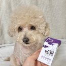 나노병원 | 강아지루테인 펫햄프 아이케어 나노필름 강아지눈영양제 후기