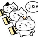 포시즌펜션민박 이미지