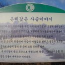 이천서씨 묘 이미지