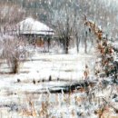 은빛세상 이미지