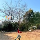 녹원유치원 이미지