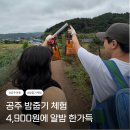 손지제2농장 | 공주밤체험농장 도깨비마을 밤줍기 후기 캠핑장 애견동반 가능해요!