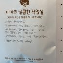 호끌락 옥상달빛 이미지