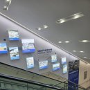 어니스트여성의원 | 임신 21주2일 보라매병원 정밀초음파 비용 자궁경부길이 태동