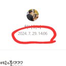 캘리그라피 이미지