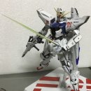 F91 이미지