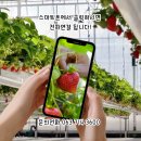 (주)서진팜 네이버블로그