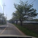 읍성회관민박 이미지