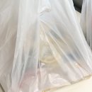 반올림피자 이미지