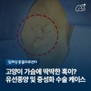 임재성동물의료센터 네이버블로그