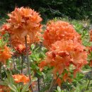 부리농장 이미지