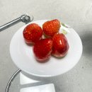 죽암농장 | 청주 딸기_두모딸기농원_내돈내산 갓 수확한 딸기 후기