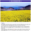 ♣4/28~29(금/토)청산도(서편제&봄의왈츠)유채꽃 이미지