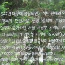 대성자라