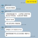 리멤버제주 | 제주도민 결혼식 일정으로 방문한 제주도 여행 새로웠던 제주결혼식 문화