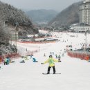 엘리시안 강촌 스키장 이미지