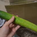 중부농산 이미지