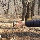 오르다공인중개사사무소 이미지