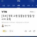 푸마농장 이미지