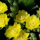 광혜원농장 이미지